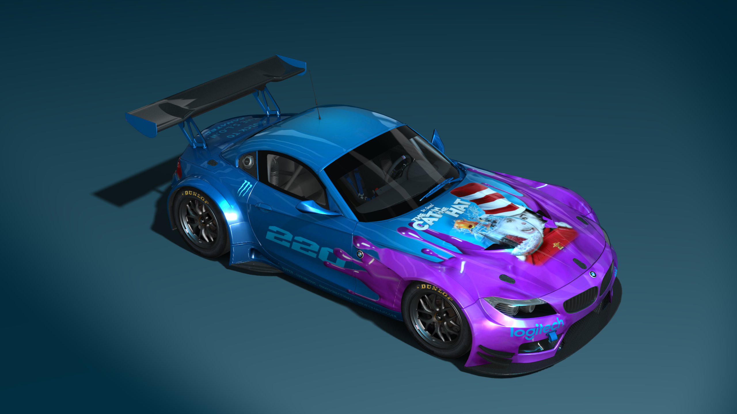 BMW Z4 GT3, skin Cat_In_The_Hat