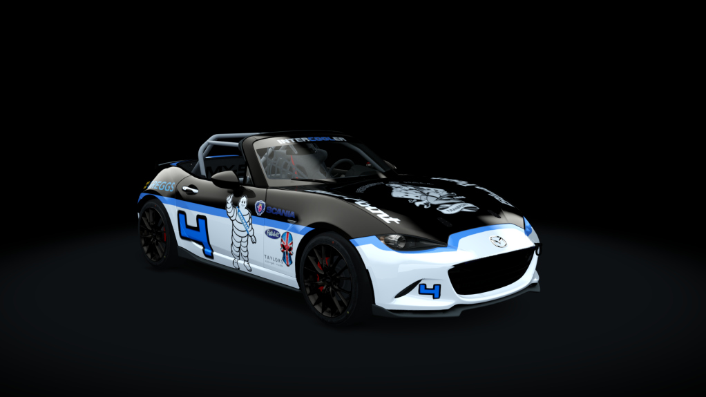 Mazda MX5 Cup, skin Patch Job