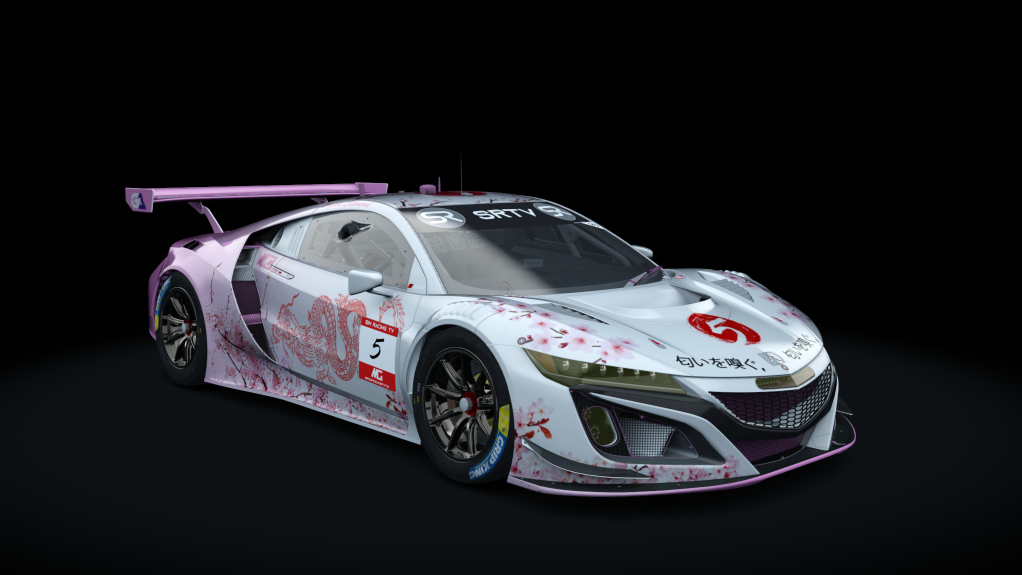 Car Skin