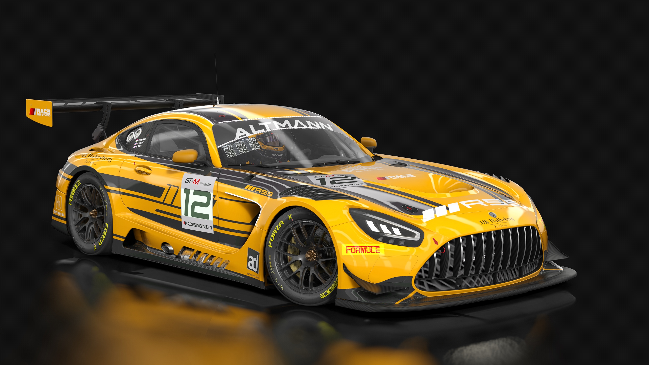 Car Skin